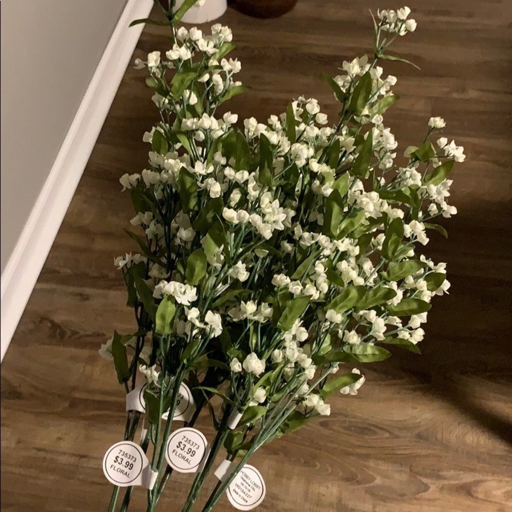 7 white flower stems
